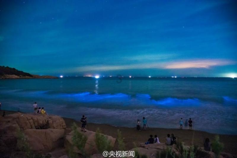 敏捷小球