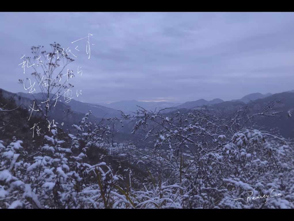 审美堪忧的“土味礼盒”为何能销量那么高?-分享你的思考和观点!