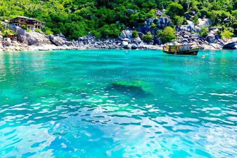 寻找火鸡
