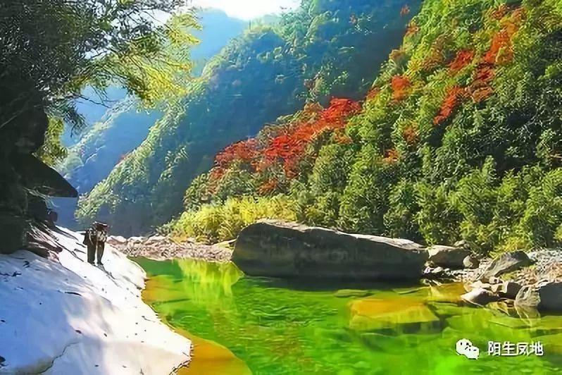 吃什么东西补精子更快？